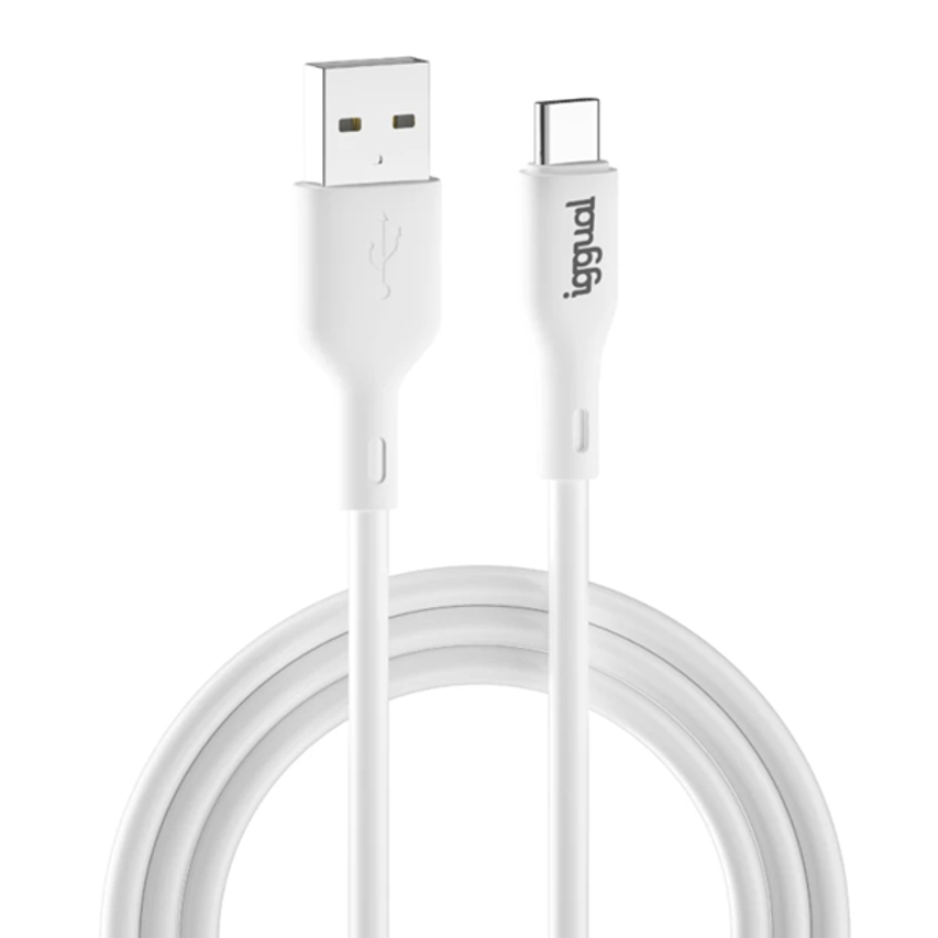 IGG317181
