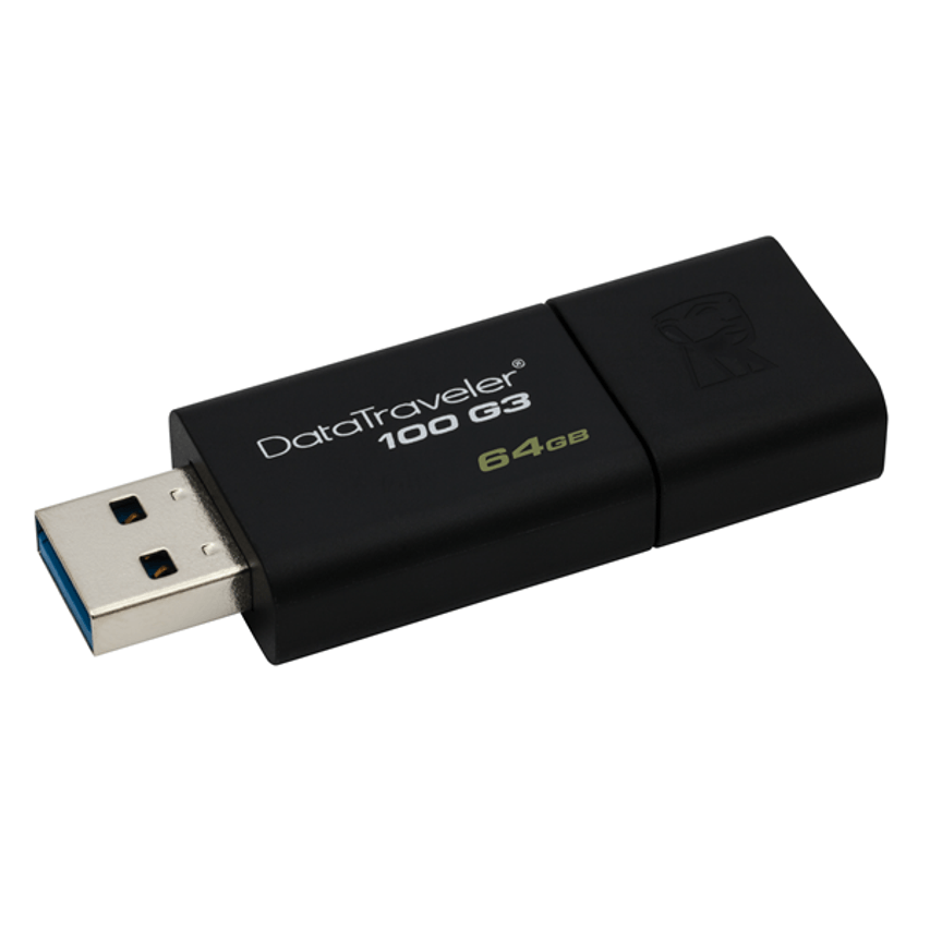DT100G3/64GB