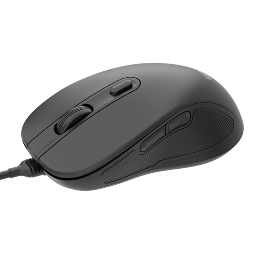 IGG320822
