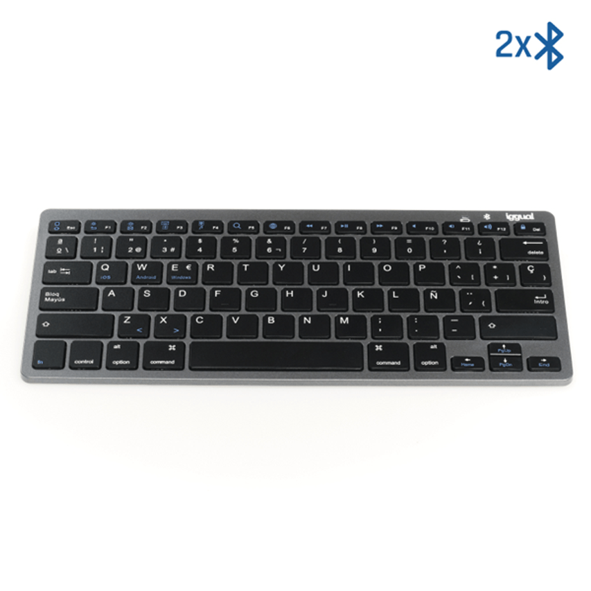 IGG316917