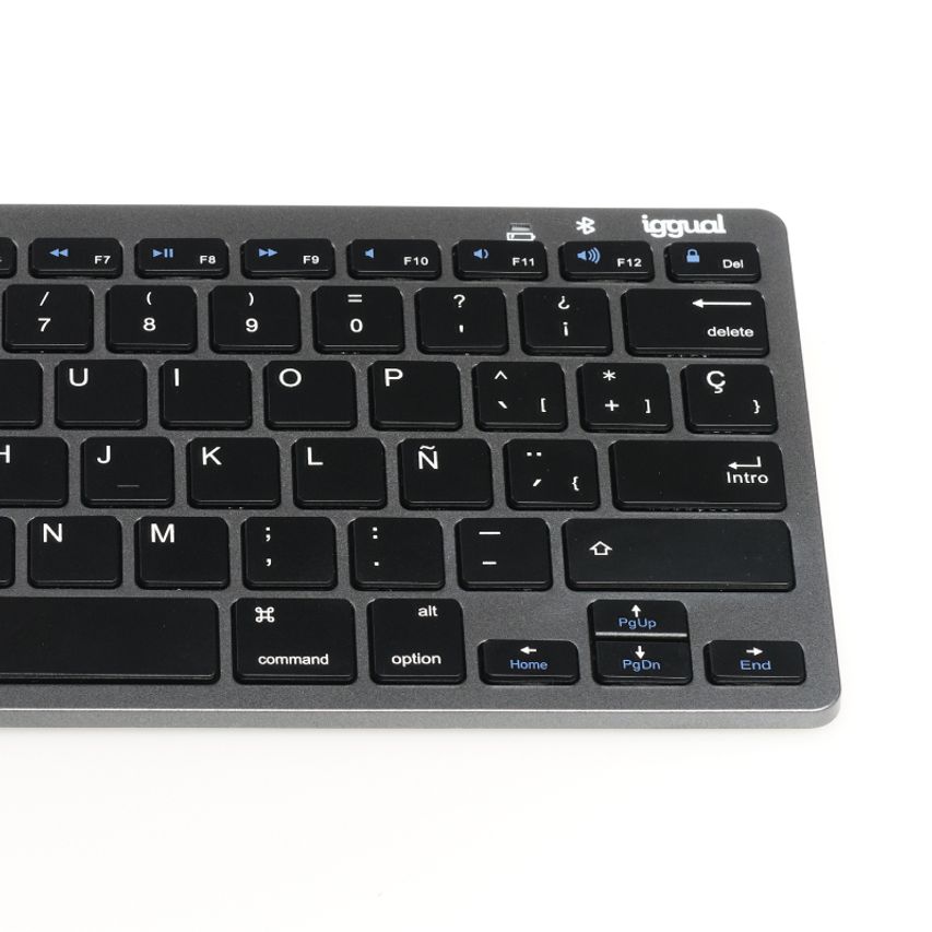 IGG316917