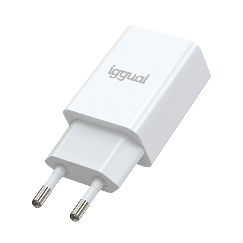 IGG316924