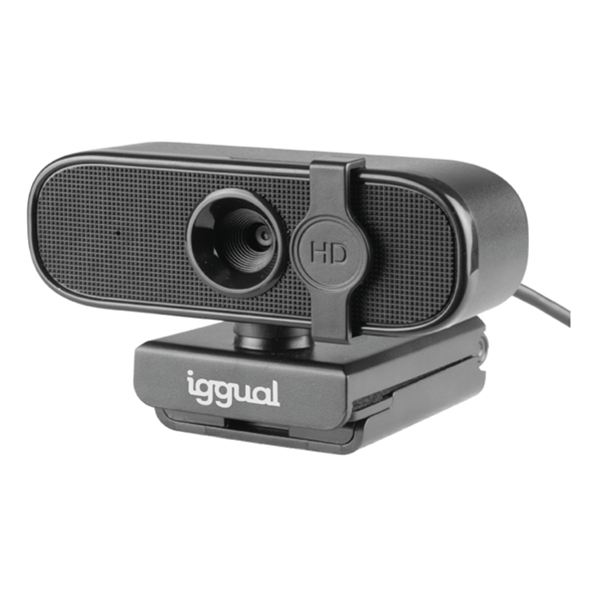 IGG317167