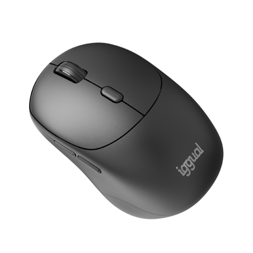 IGG320532
