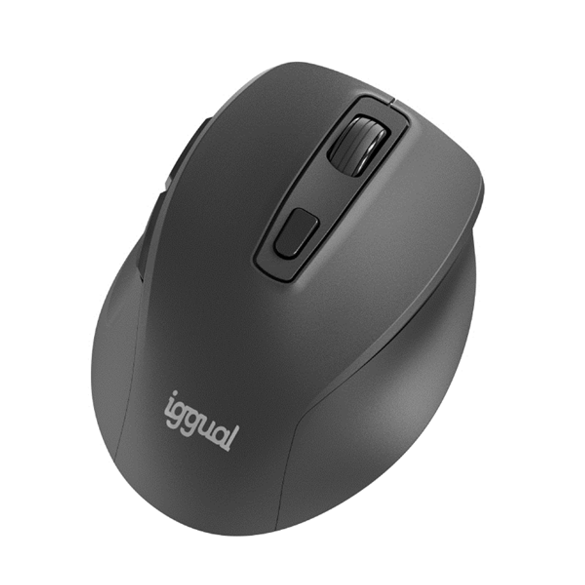 IGG320549