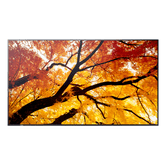 MONITOR SHARP M432  MultiSync 42.5" IPS 3840 x 2160 HDMI Altavoces