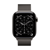 42mm Slate Milanese Loop