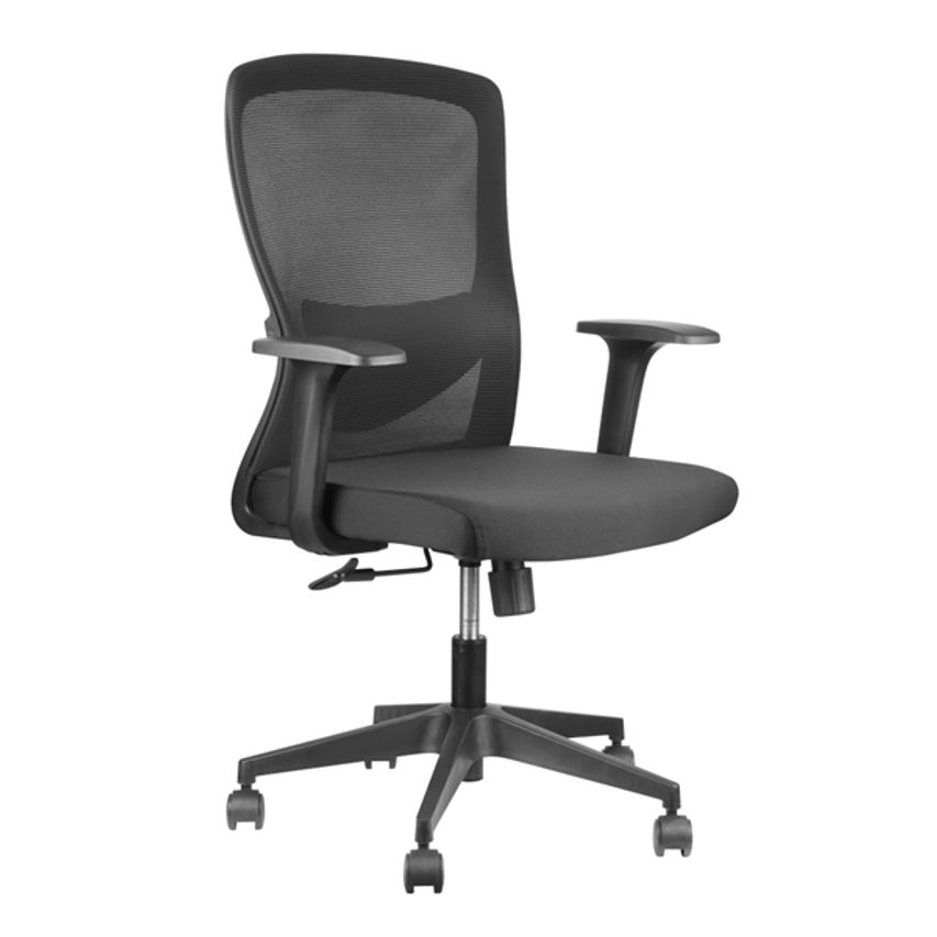 IGG320891