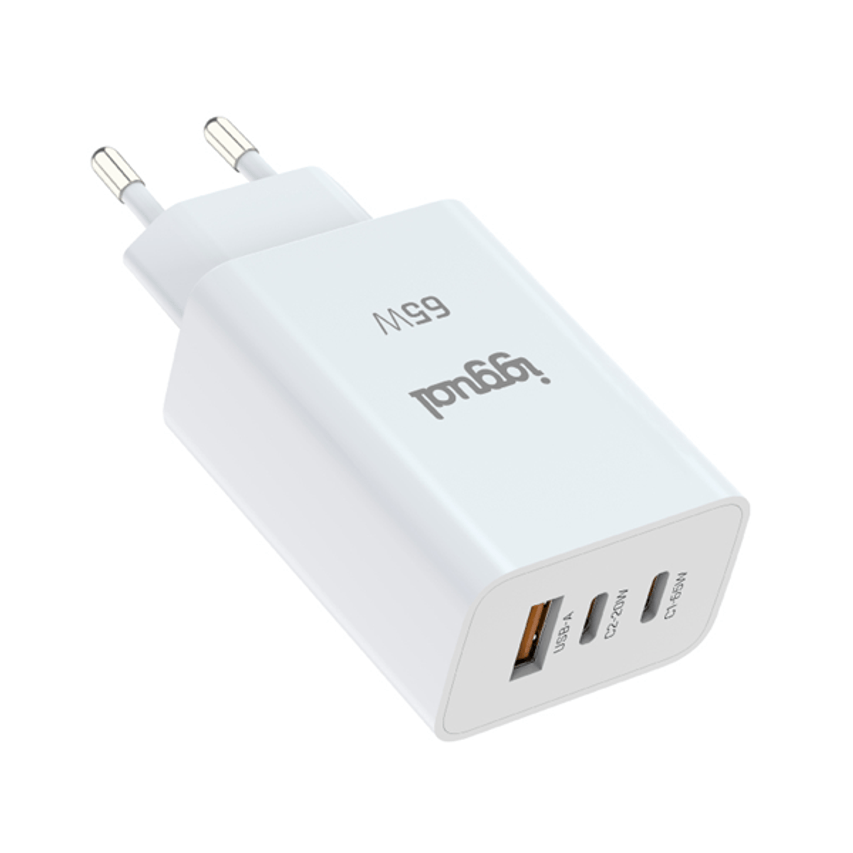 IGG320501