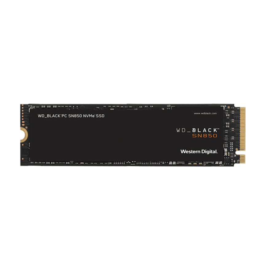 WDS500G1X0E