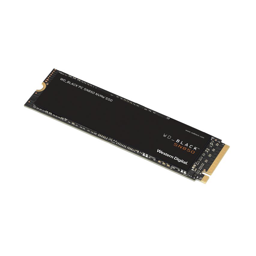 WDS500G1X0E
