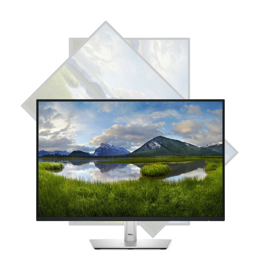 DELL-P2425E