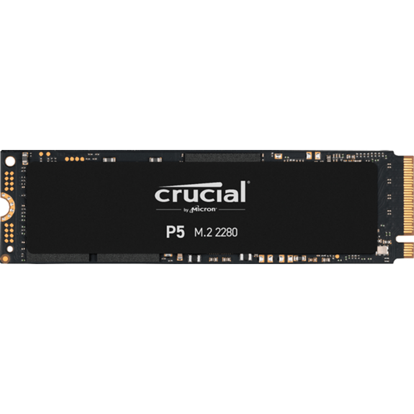 CT1000P5SSD8