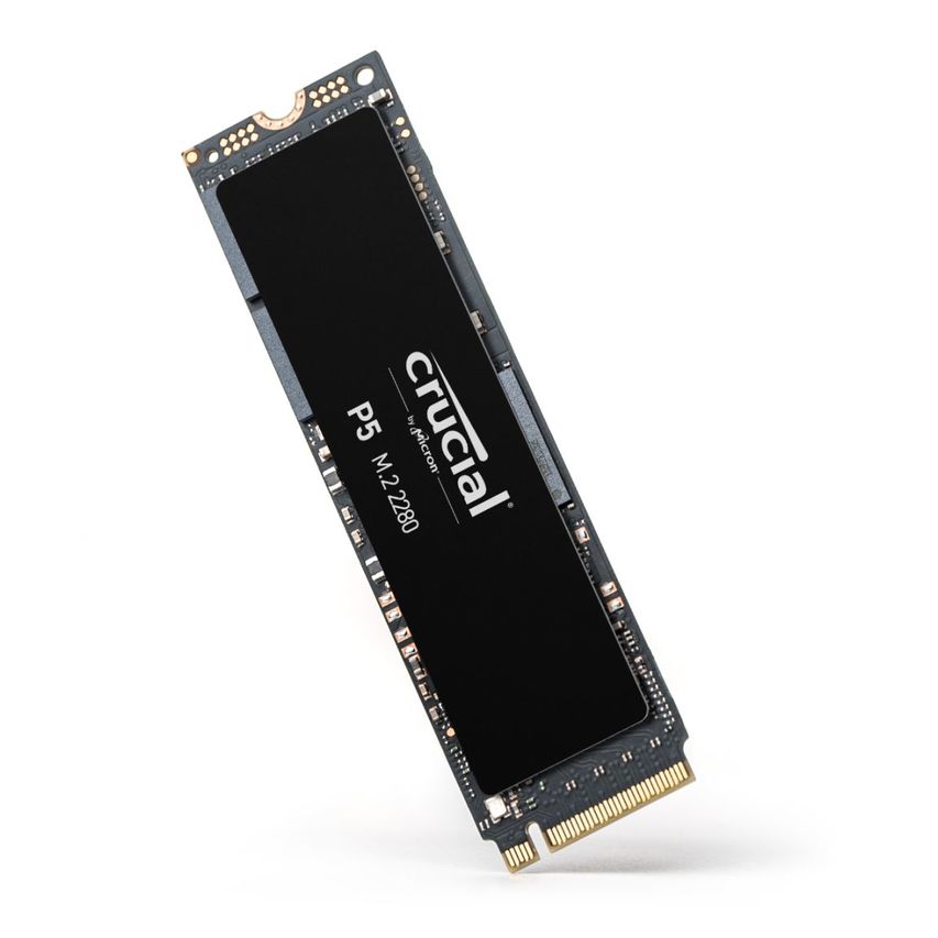 CT1000P5SSD8
