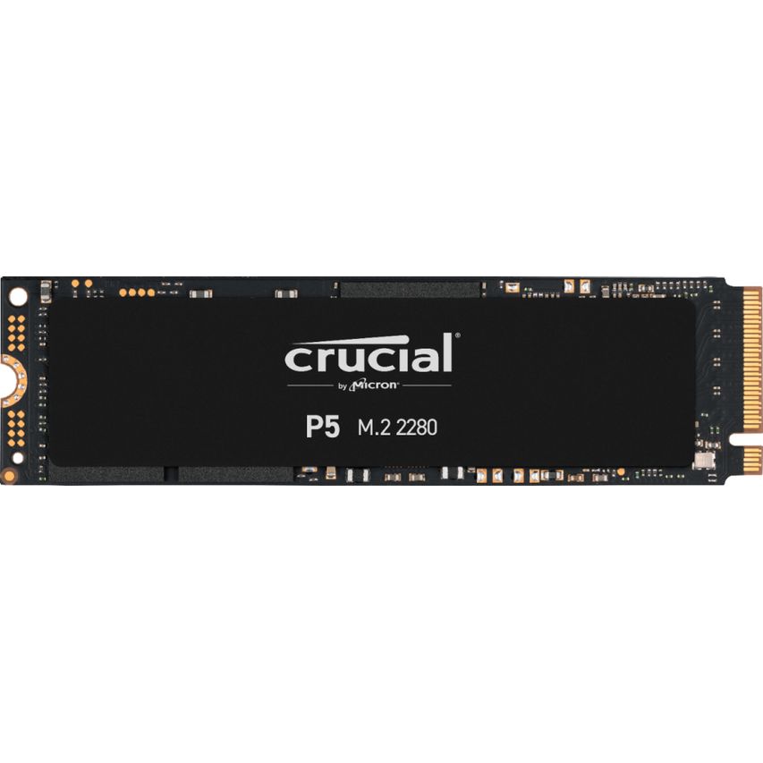CT1000P5SSD8
