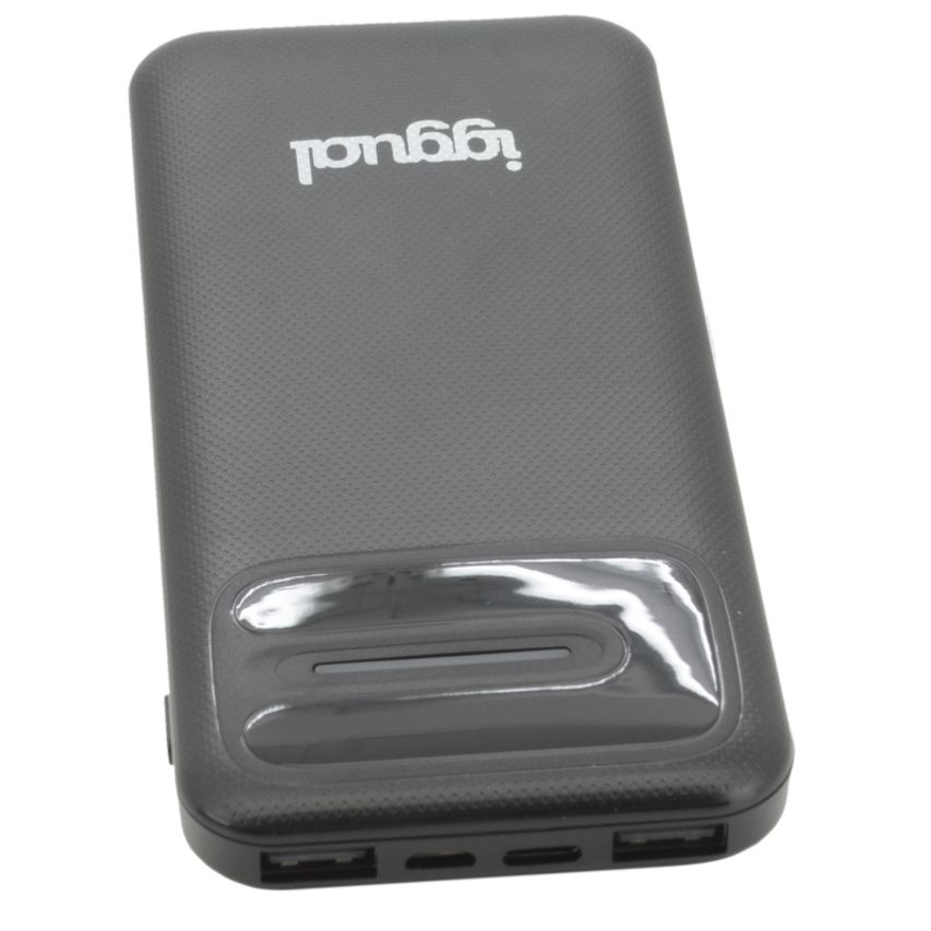 IGG317105
