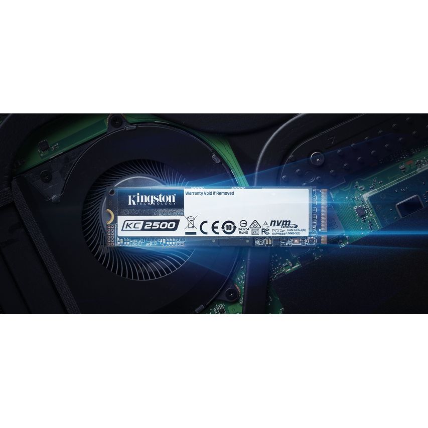SKC2500M8/1000G