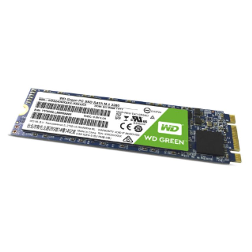 WDS480G2G0B