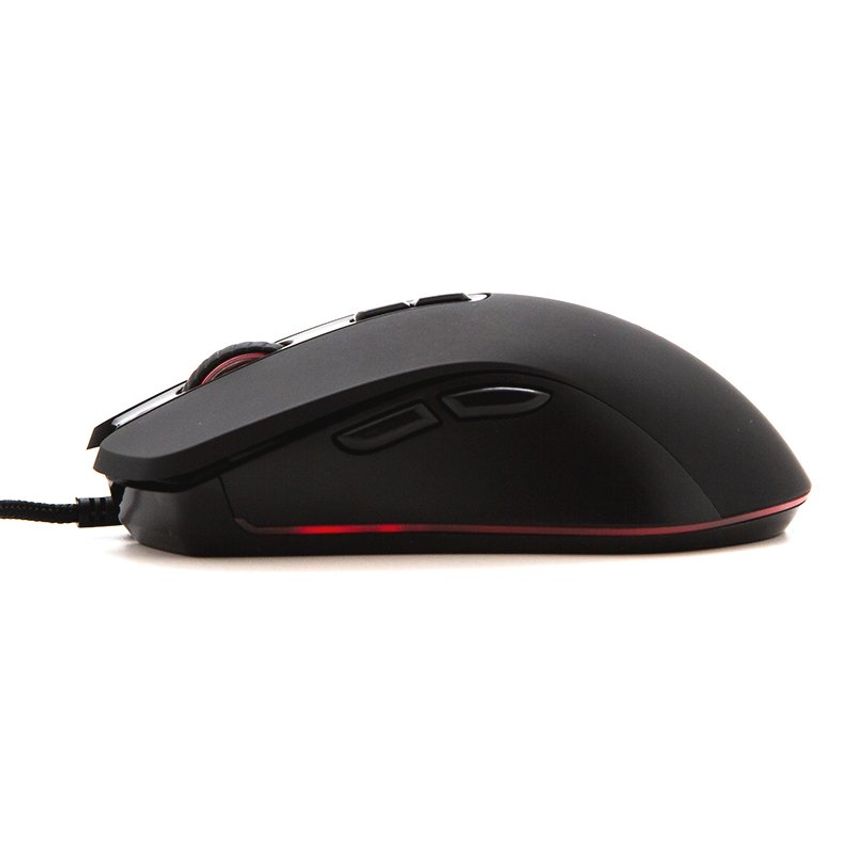 IGG317594