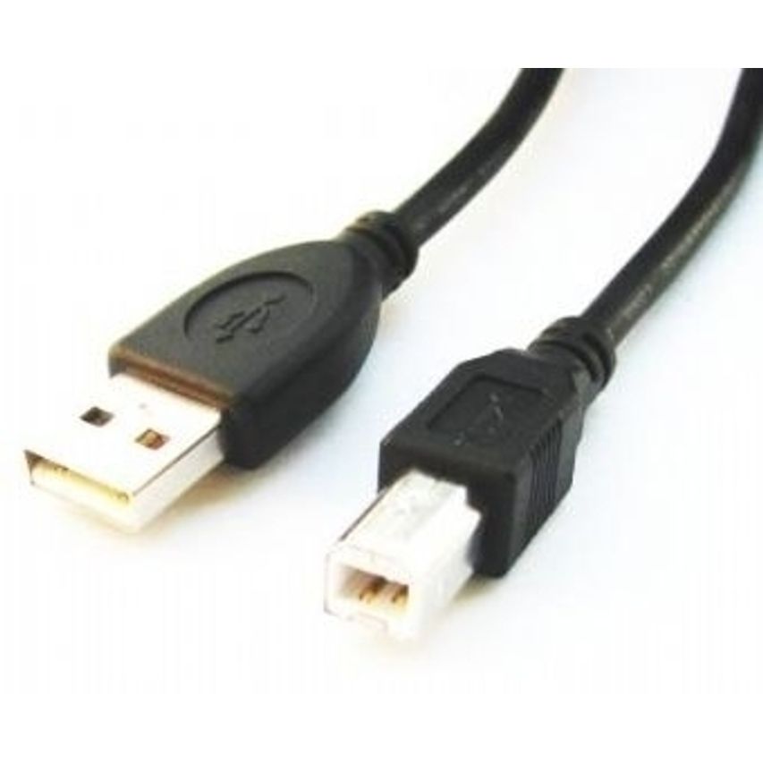 CCP-USB2-AMBM-6