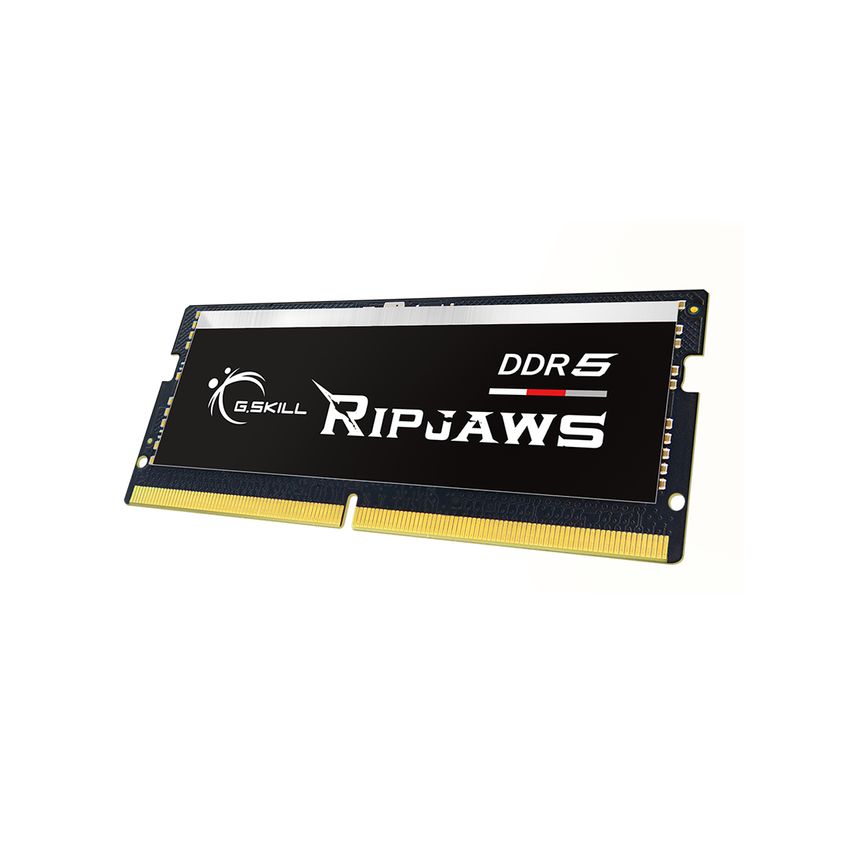 F5-4800S3838A16GX1-RS