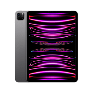 APPLE iPad Pro 11" 8GB/256GB Gris