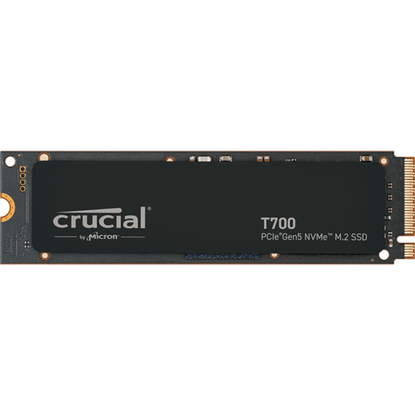 CT1000T700SSD3