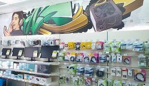 Store PCBOX  Palma (Caro)